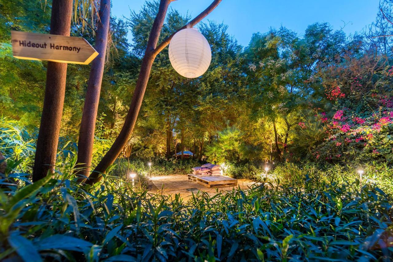 Zaya Al Barari Hotel Living 迪拜 外观 照片